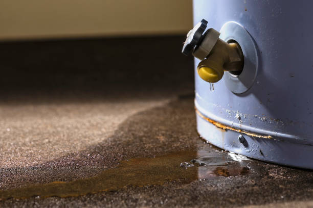 Best Flood damage cleanup  in Franklin Center, NJ