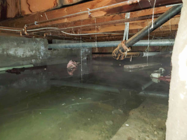 24/7 water damage repair in Franklin Center, NJ