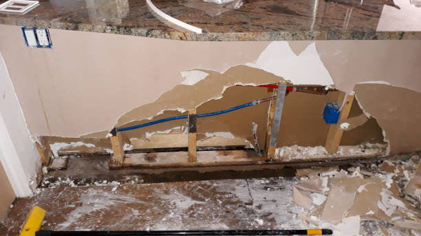 Best Water damage contractors near me  in Franklin Center, NJ